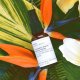 Rainforest Blemish Serum de Evolve