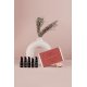 Holiday Glow Set Twelve Beauty