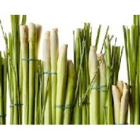 Aceite de Lemongrass